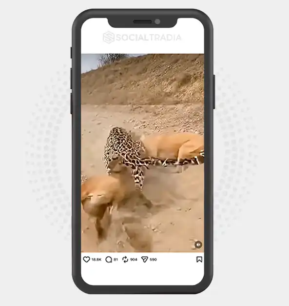 buy instagram account