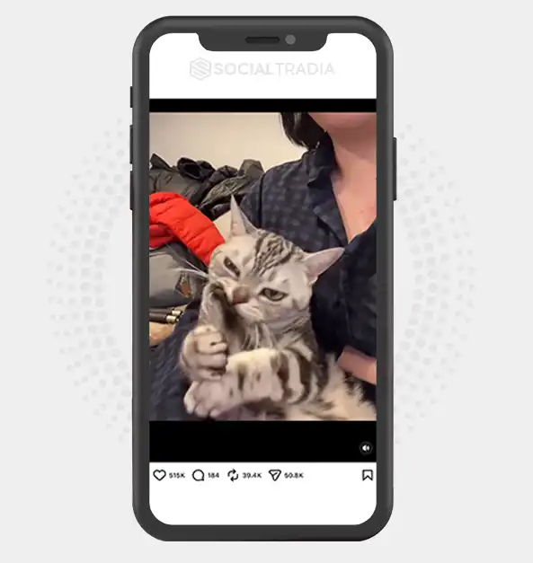 buy Instagram account KittyReels (44.1k Followers)