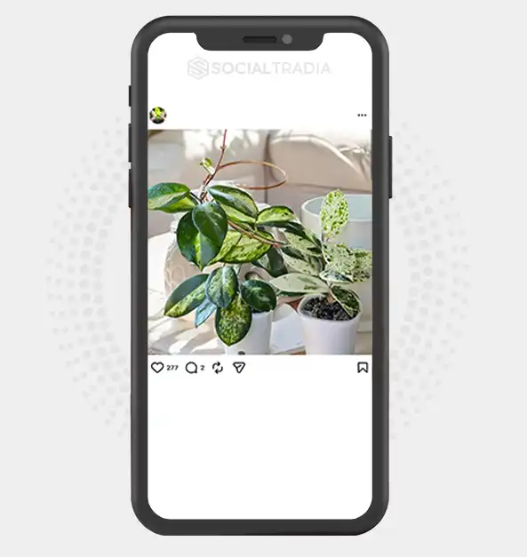 buy instagram account