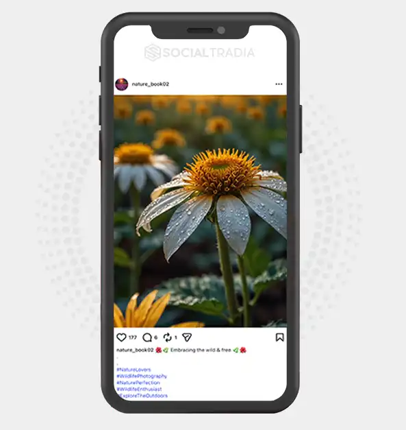 buy Instagram account nature_book02 (2.2k Followers)
