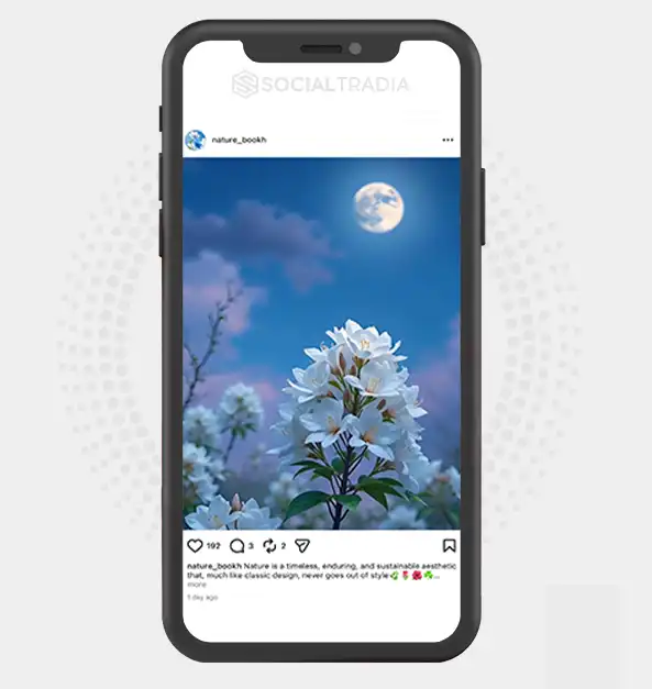 buy Instagram account nature_bookh (3k Followers)