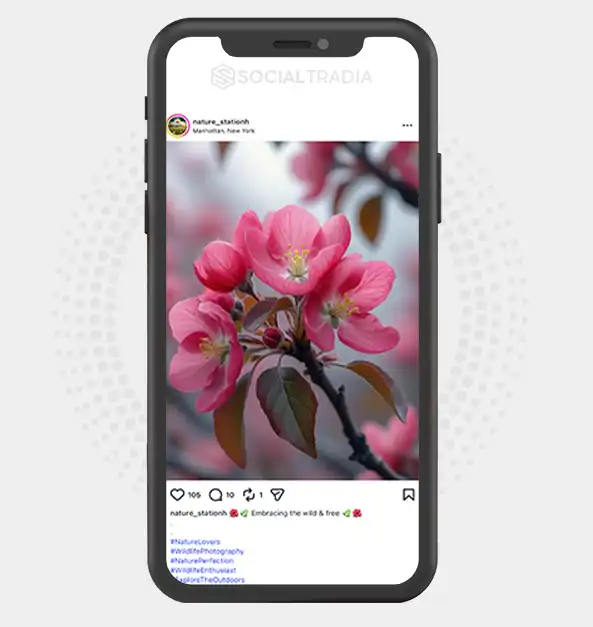 buy Instagram account nature_stationh (3.1k Followers)