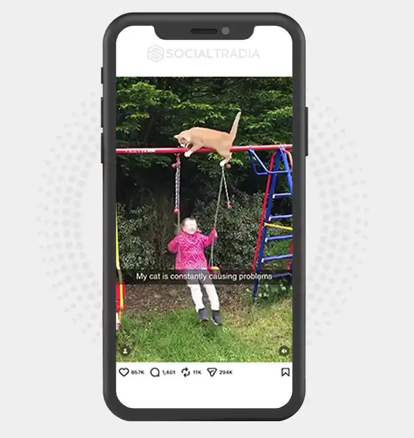 buy Instagram account Pawsy (25.8k Followers)