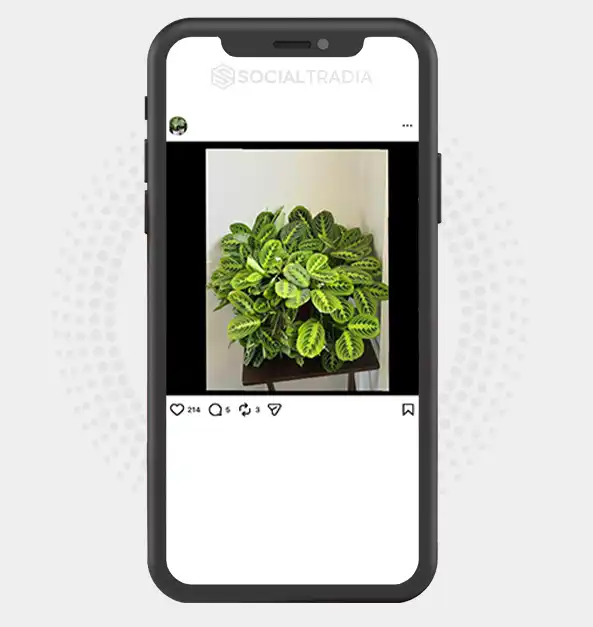 buy instagram account