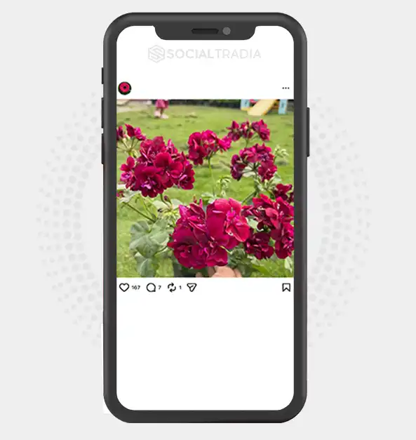 buy instagram account