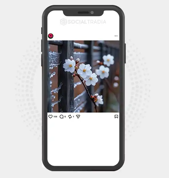 buy Instagram account PrettyPetals (3.3k Followers)