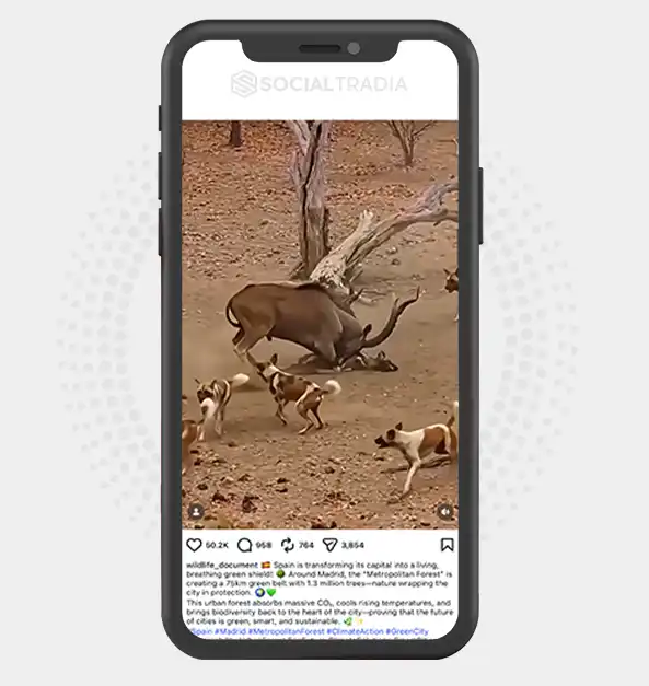 buy instagram account