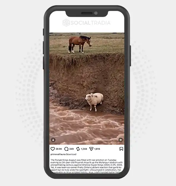 buy Instagram account primevalfauna (7.1k Followers)