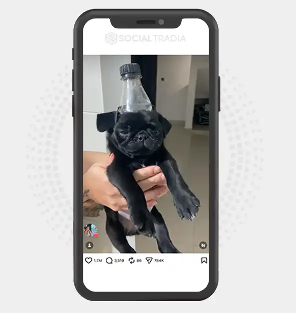 buy instagram account