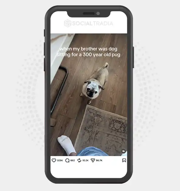 buy Instagram account PugWorld (133k Followers)