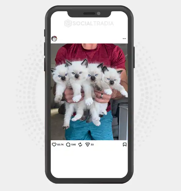 buy instagram account