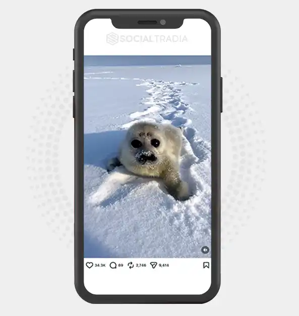 buy instagram account
