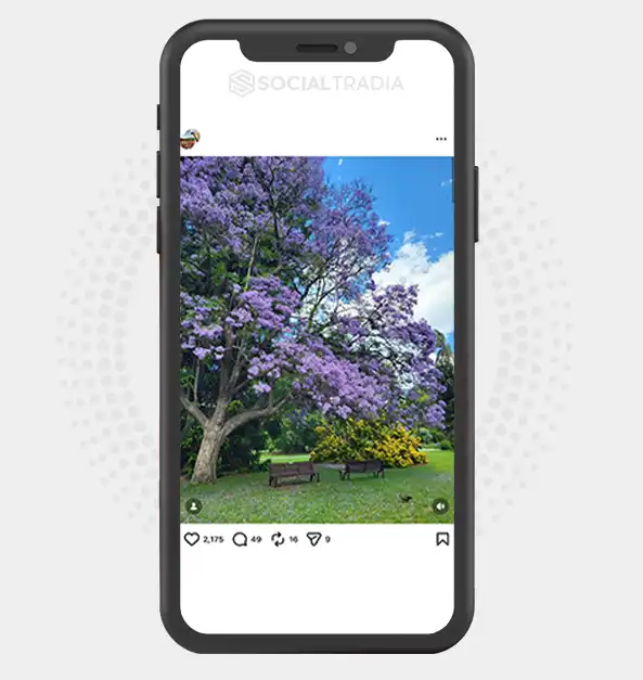buy instagram account
