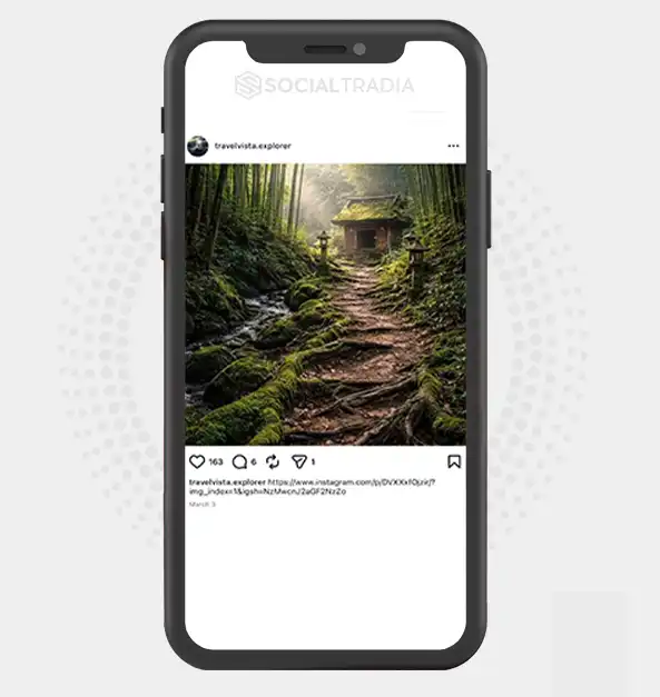 buy Instagram account travelvista.explorer (2.4k Followers)