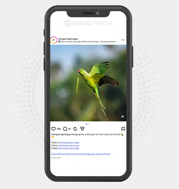buy Instagram account whisperingwingsp (2k Followers)