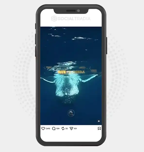 buy Instagram account Alpha Knowledge (184k Followers)