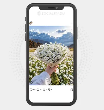 buy Instagram account Bloom Diaries (2.4k Followers)