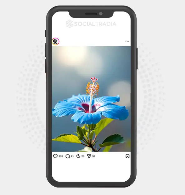 buy instagram account