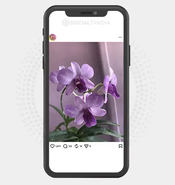 buy Instagram account FloralHeaven (3.9k Followers)