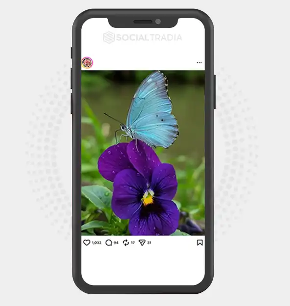 buy Instagram account FloralHeaven (3.9k Followers) buy Instagram account FloralHeaven (3.9k Followers)