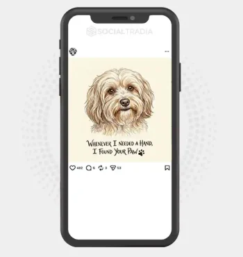 buy instagram account