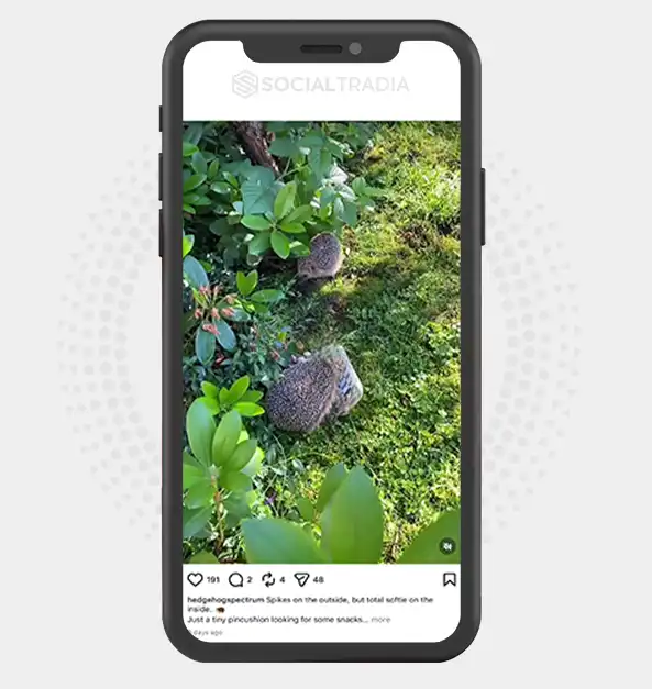 buy instagram account