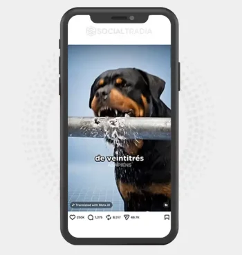 buy instagram account