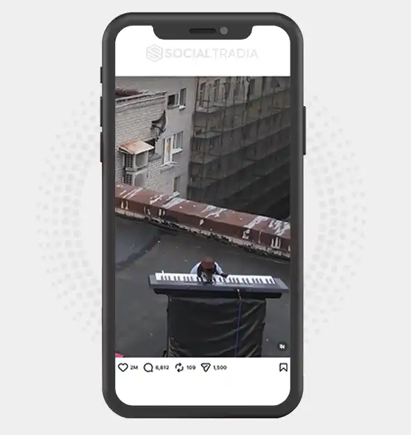 buy Instagram account Keyboard Dog (532k Followers)