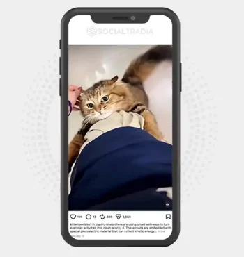 buy Instagram account kittenworldss1 (3.2k Followers)