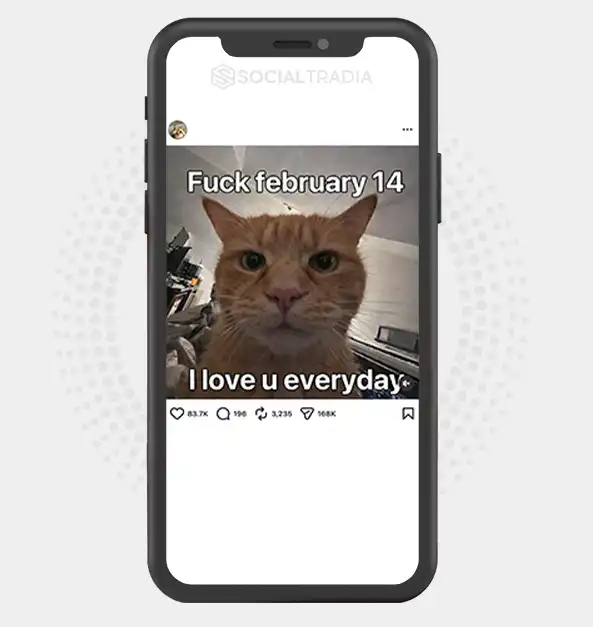 buy Instagram account Marmalade Meows (11.4k Followers)