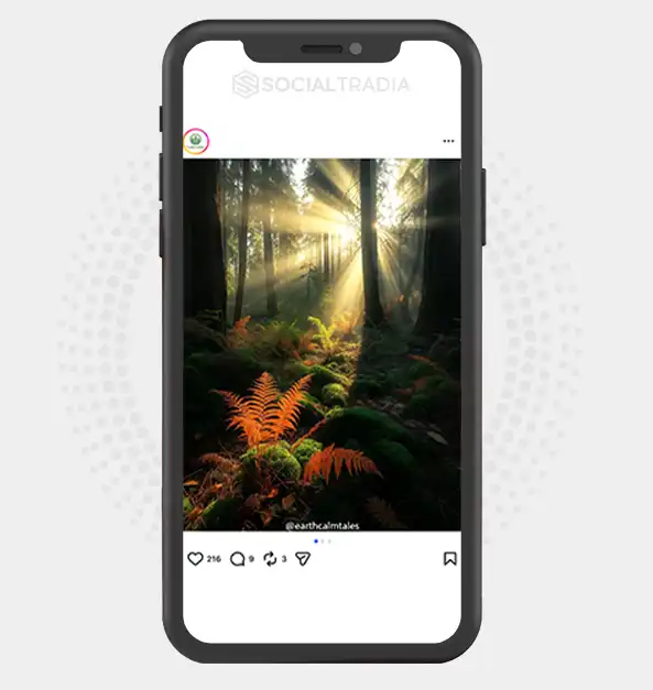 buy Instagram account PeacefulNature (2k Followers)