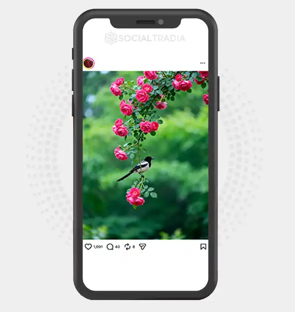 buy instagram account