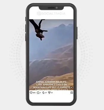 buy Instagram account Safari Explorer (20.8k Followers)