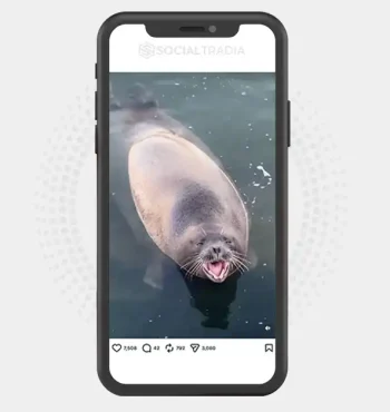buy instagram account