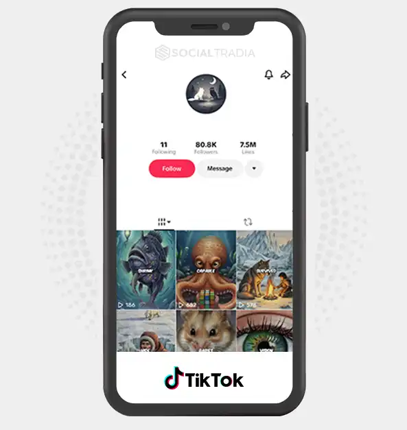 buy Instagram account Wild Wonders (80.8k Followers) buy Instagram account Wild Wonders (80.8k Followers)