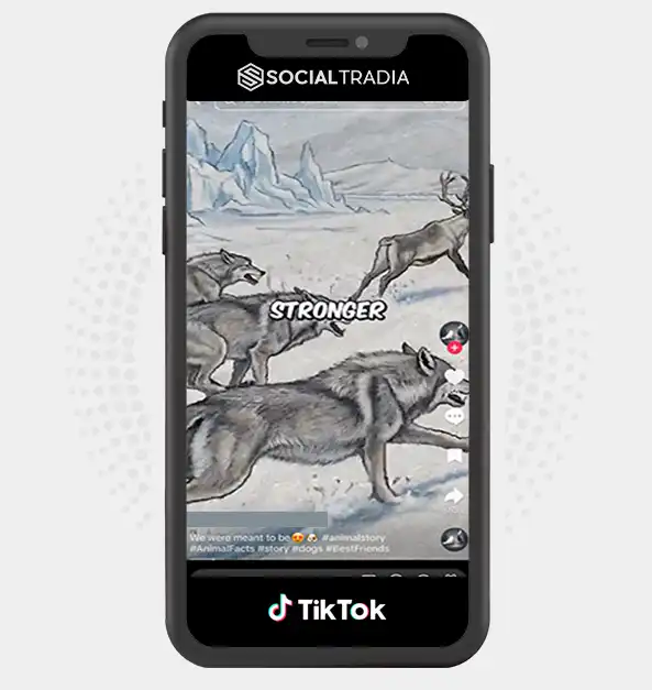 buy Instagram account Wild Wonders (80.8k Followers) buy Instagram account Wild Wonders (80.8k Followers)