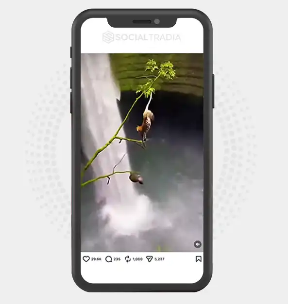 buy Instagram account Wilderness (37k Followers)