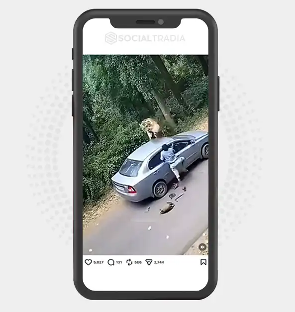 buy instagram account
