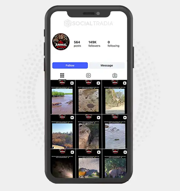 buy Instagram account AnimalMedia (149k Followers)
