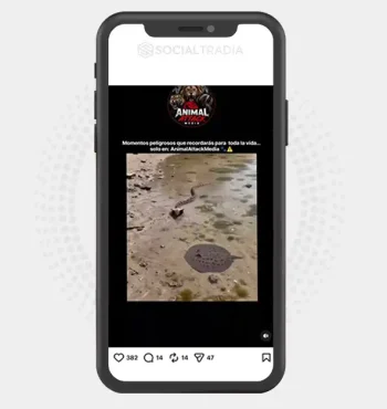 buy instagram account