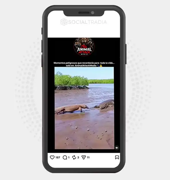 buy Instagram account AnimalMedia (149k Followers)