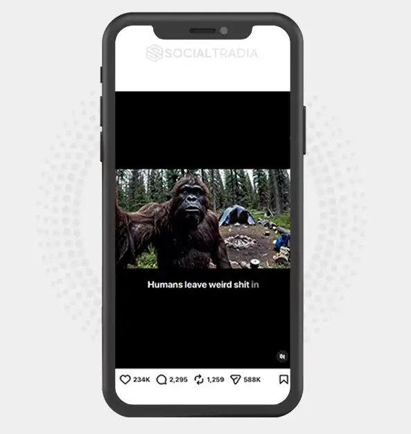 buy Instagram account Bigfoot Encounters (144k Followers) buy Instagram account Bigfoot Encounters (144k Followers)