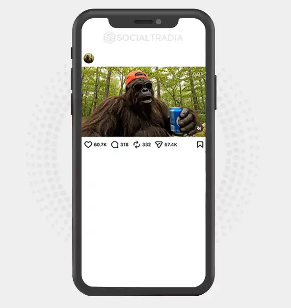buy Instagram account Bigfoot Encounters (144k Followers) buy Instagram account Bigfoot Encounters (144k Followers)