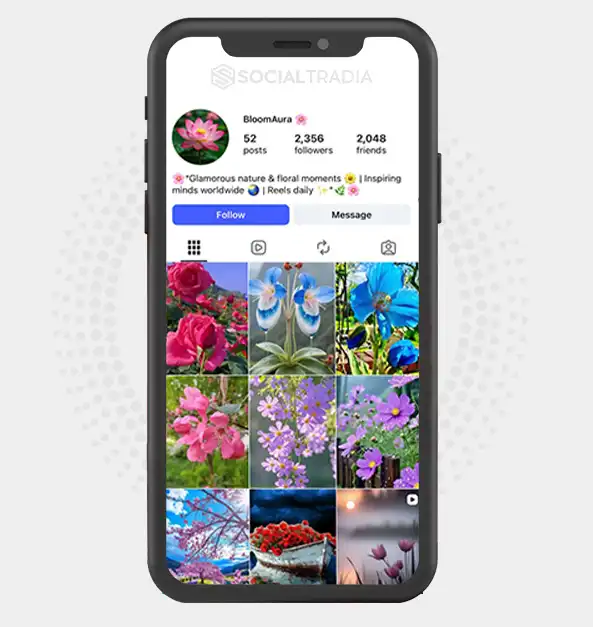 buy Instagram account bloomaura202 (2.3k Followers)