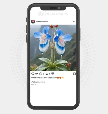buy Instagram account bloomaura202 (2.3k Followers)