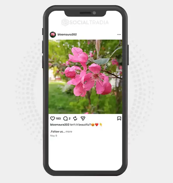 buy Instagram account bloomaura202 (2.3k Followers)