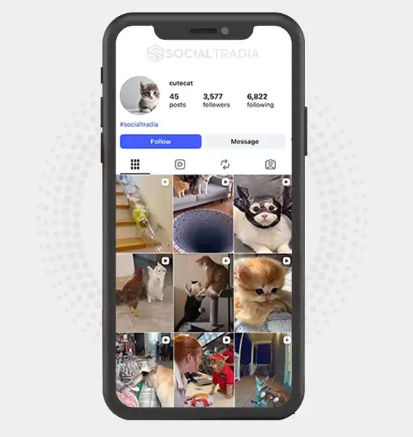 buy Instagram account catic4386 (3.5k Followers)