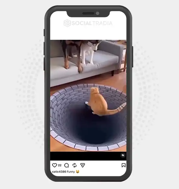 buy Instagram account catic4386 (3.5k Followers)