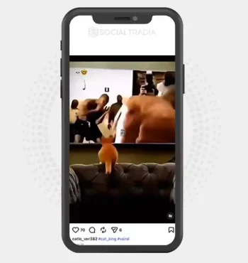 buy Instagram account catlo_ver382 (2.2k Followers)