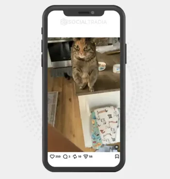 buy instagram account